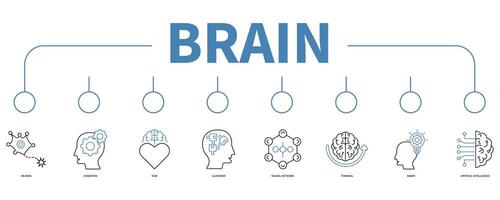 Brain banner web icon vector illustration concept