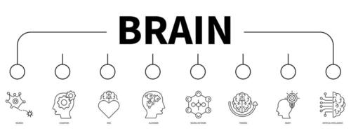 Brain banner web icon vector illustration concept