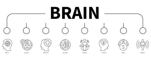 Brain banner web icon vector illustration concept