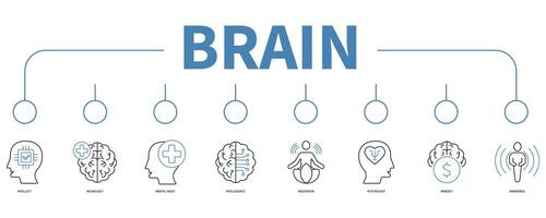 Brain banner web icon vector illustration concept