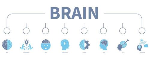 Brain banner web icon vector illustration concept