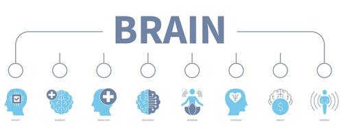 Brain banner web icon vector illustration concept