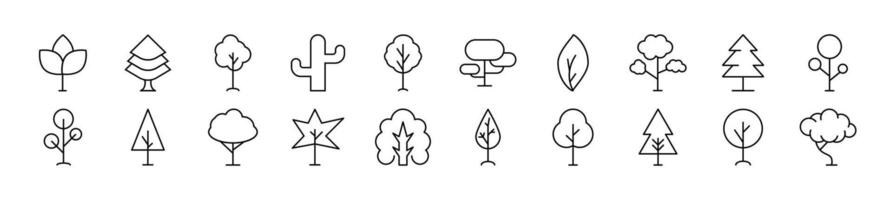 Deciduous and conifers vector images drawn with thin line. Editable stroke. Simple linear illustration for web sites, newspapers, articles book