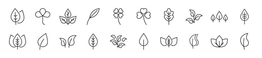 Pack of line icons of leaf. Editable stroke. Simple outline sign for web sites, newspapers, articles book vector