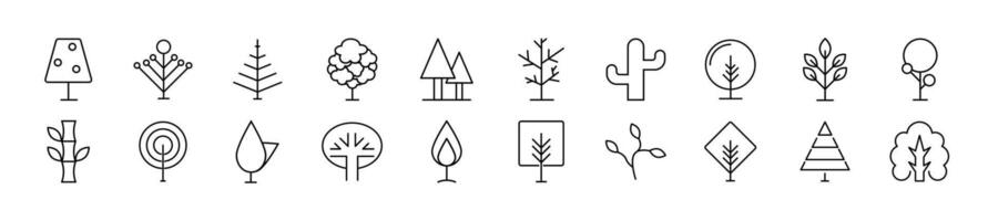 Deciduous, coniferous and tropical trees linear vector icons collection. Editable stroke. Simple linear illustration for web sites, newspapers, articles book