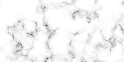 Background with crack. Marble texture background. Abstract white marble background. vector