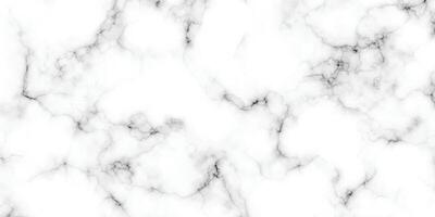 panorámico blanco mármol Roca textura. blanco mármol textura antecedentes. alta resolución blanco carrara mármol Roca textura vector