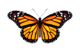 AI generated Monarch Beauty On Transparent Background. png