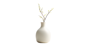 AI generated Vase On Transparent Background png