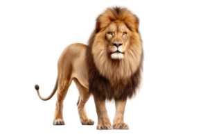 AI generated Lion Portrait On Transparent Background. png