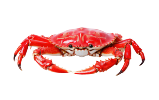 AI generated King Crab On Transparent Background. png