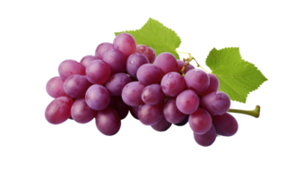 ai generado abundante uvas en transparente antecedentes png