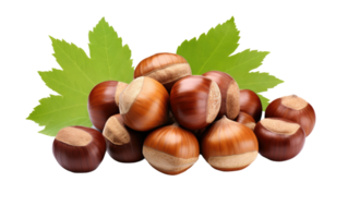 AI generated Hazelnuts Elegance On Transparent Background png