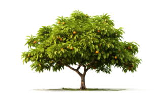 AI generated Mango Tree in Full Bloom On Transparent Background. png