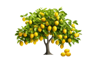 AI generated Lemon Tree On Transparent Background. png