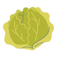 Cabbage, cartoon style. Vector illustration isolated on white background, hand drawn, flat design