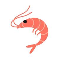 Shrimp, cartoon style. Prawn in shell. Vector illustration isolated on white background, hand drawn, flat design