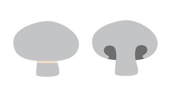 Champignon mushrooms, whole and half cartoon style. Vector illustration isolated on white background, hand drawn, flat design