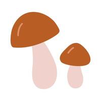 Penny bun mushrooms, cartoon style. Vector illustration isolated on white background, hand drawn, flat design