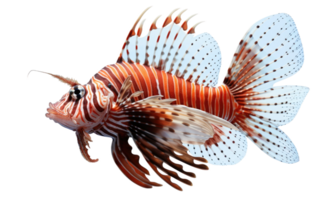 AI generated Lionfish image On Transparent Background. png