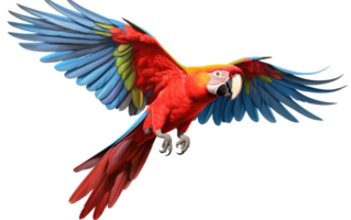 ai generado guacamayo belleza en transparente antecedentes. png