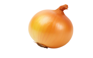 AI generated Crisp Onion On Transparent Background png