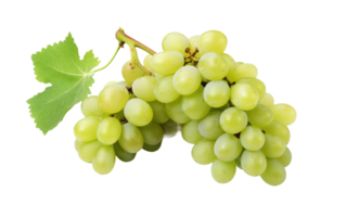 AI generated Grape Edition On Transparent Background png