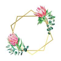 Protea watercolor, eucalyptus branch, gold frame. Vector illustration of pink flowers. Design element for cards, wedding invitations, banners, covers, labels, flyers.