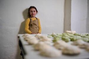 Portrait of lovely child girl, a little future chef housewife in beige kitchen apron, standing against white wall, smiling looking at camera. On the foreground a table with sculpted dumplings vareniki photo