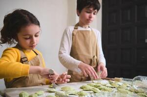 Brother and sister in beige chef's aprons, stuffing rolled dough rounds, making dumplings in the rural house kitchen interior. Adorable kids preparing dinner, learning the culinary at home photo