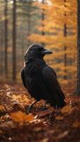 AI generated Black raven in the midst of a colorful autumn forest with leaves falling around photo