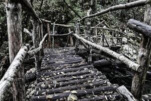 Wooden handmade bridge in the forest. Black and white photo