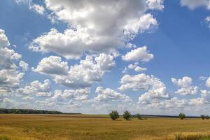 a wide scene with beautiful clouds over the field photo