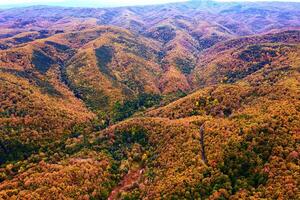 aerial view of mountain hills and valley  covered with autumn colors photo