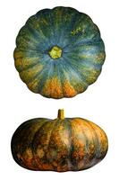 Pumpkin isolated on a white background, Clipping path included photo