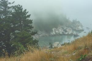 AI generated coastal rainy landscape, foggy morning on a steep bank, blurred background photo