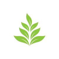 Green leaf logo icon vector