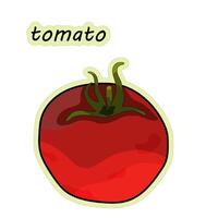 Tomato is a vegetable. Tomato sticker, hand drawn, vector illustration in doodle style