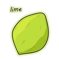 Lime is citrus. Hand drawn lime sticker, vector illustration in doodle style.