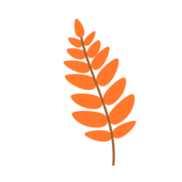 oranje herfst blad png