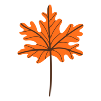 Orange autumn leaf png