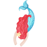 fofa desenho animado fada sereia png