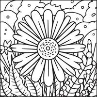 Daisy flower coloring pages. Daisy outline vector for coloring book