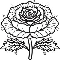 Rose coloring pages. Rose flower outline vector