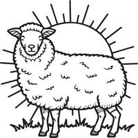 Sheep coloring pages. Sheep outline vector