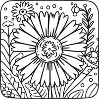 Daisy flower coloring pages. Daisy outline vector for coloring book