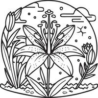 Lily coloring pages. Lily flower outline vector for coloring book