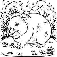 Guinea pig coloring pages. Guinea pig outline vector for coloring book