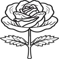 Rose coloring pages. Rose flower outline vector