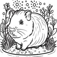 Guinea pig coloring pages. Guinea pig outline vector for coloring book